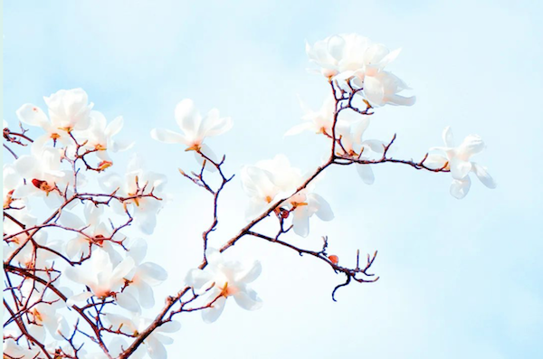 1651733309837045.png 2.png