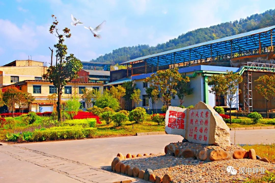 1661990739720616.jpg 91.jpg